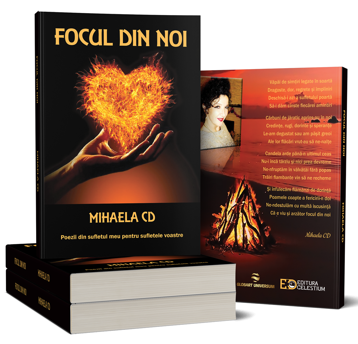 89787407_228968818494254_6315007925614018560_n - Copy