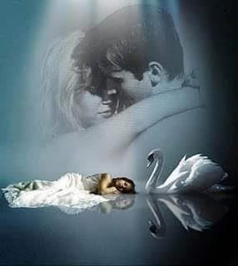 balsam de carolina baldea