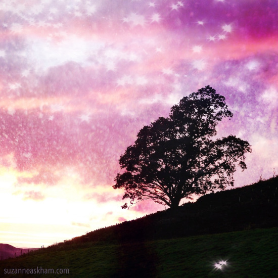 dorul ferecat de mihaela cd