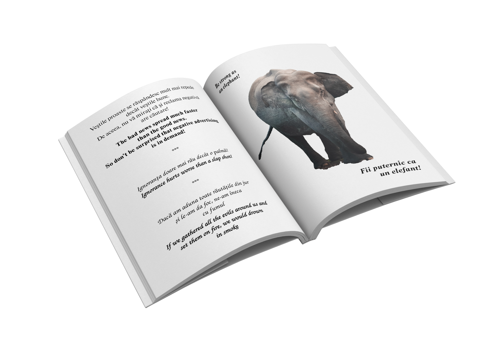 127877003_406525567064466_7064615529325021472_n