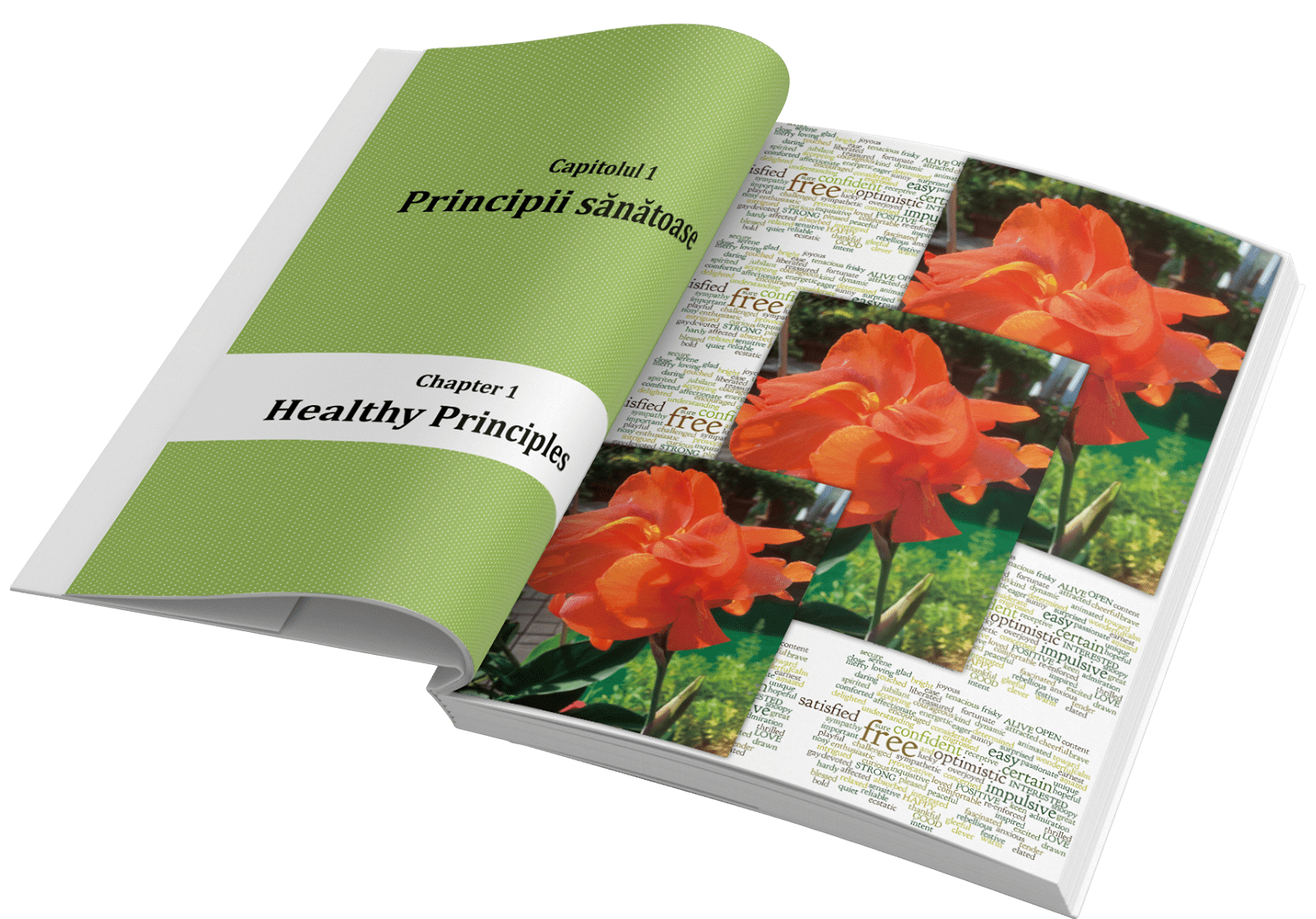 127956070_405654450617840_1335316316473609395_n