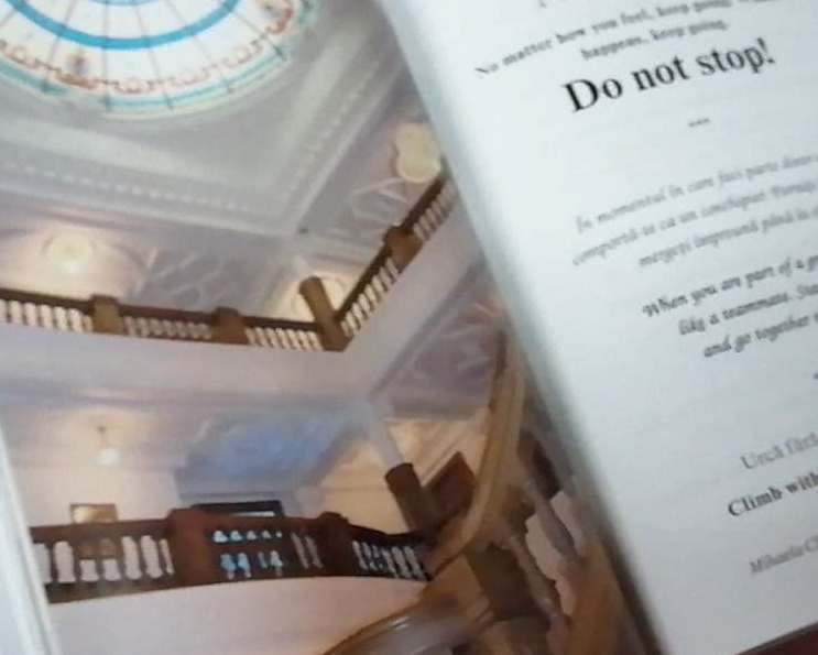 131485688_428993411464607_2377029072060656016_n