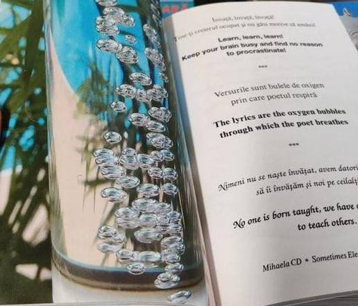 131976796_174168671119881_6415820124964771719_n