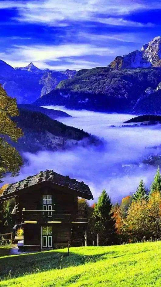 52611639_2083913481643928_5958632631976329216_n