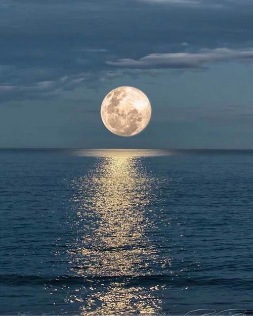 8e099621d22e766f429fbe067360a647