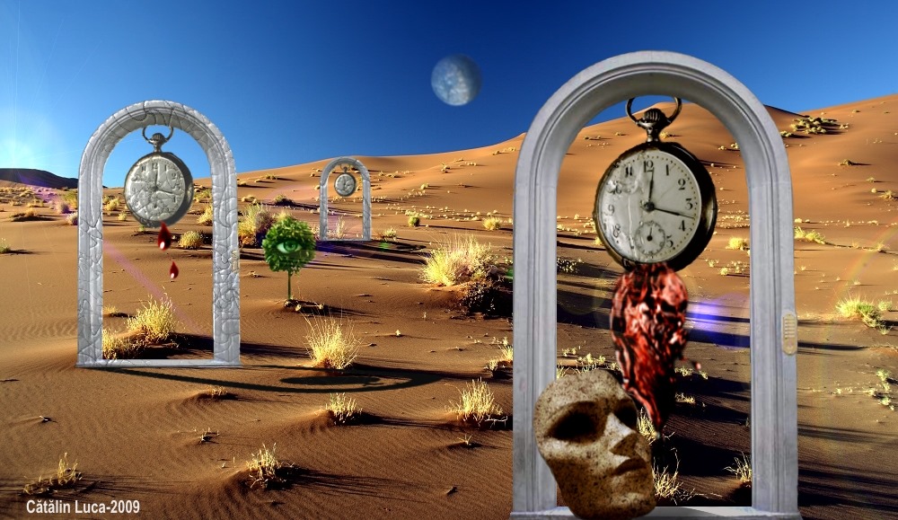 91141436_2607926349485517_2580189014522855424_o