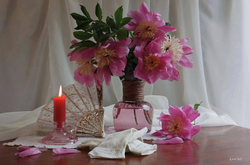 50822272_608536562919991_659909097826549760_n