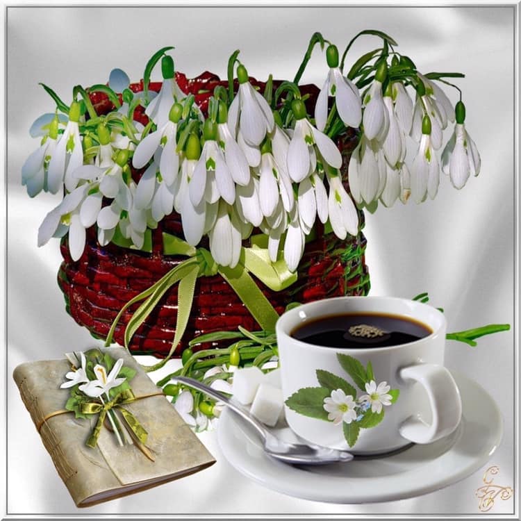 52708488_396102324527735_8070912984261591040_n