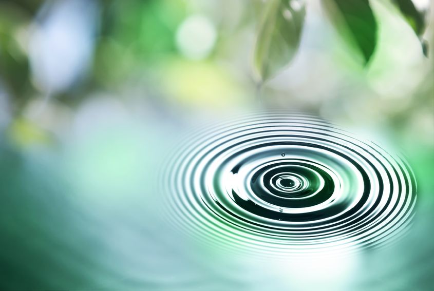 Esti clipa muritoare de Mihaela CD