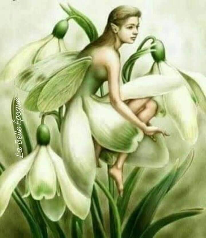 158370292_1829927740505881_2878370053559342709_n