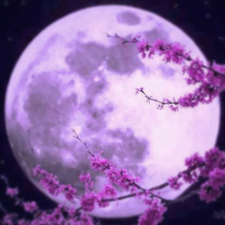 45283868_2233056490039059_3336705480480017123_n