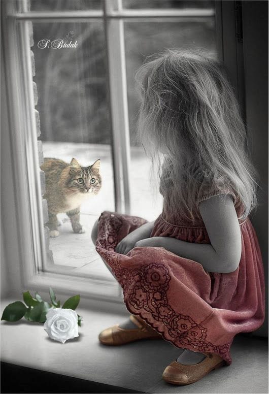 50500523_2357253114561357_6670312067292987392_n