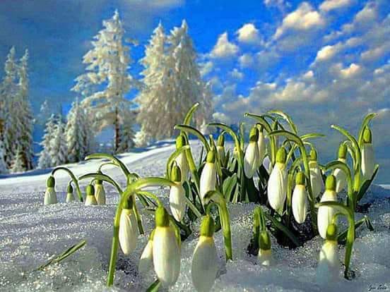 84191619_1412880605548025_4859723996133851136_n