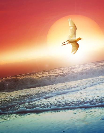 Prin timpuri efemere de Mihaela CD