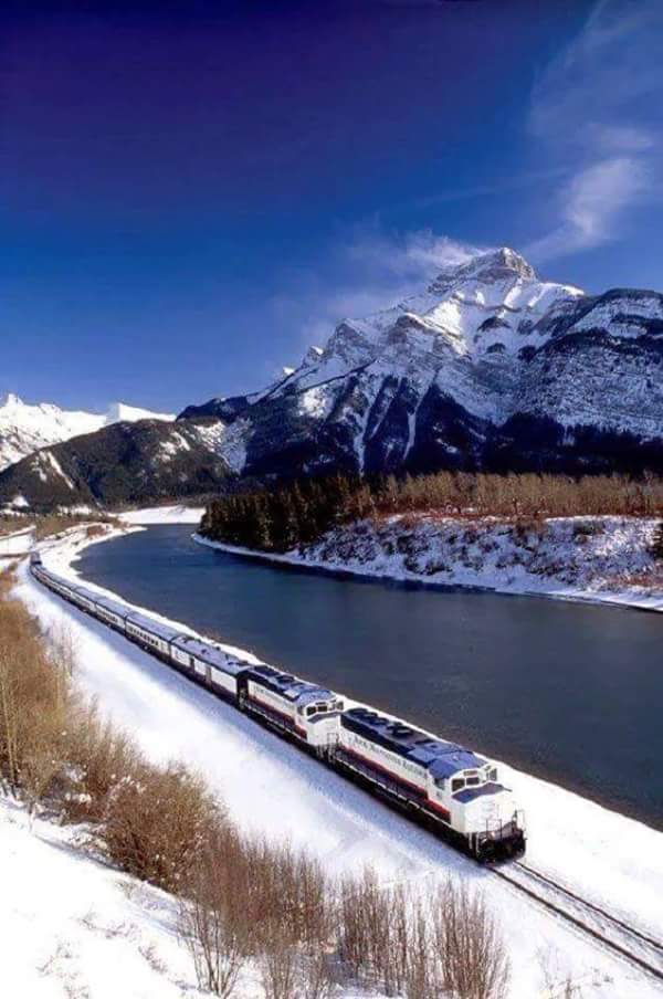 13920800_584826815010267_6894469815264833535_n