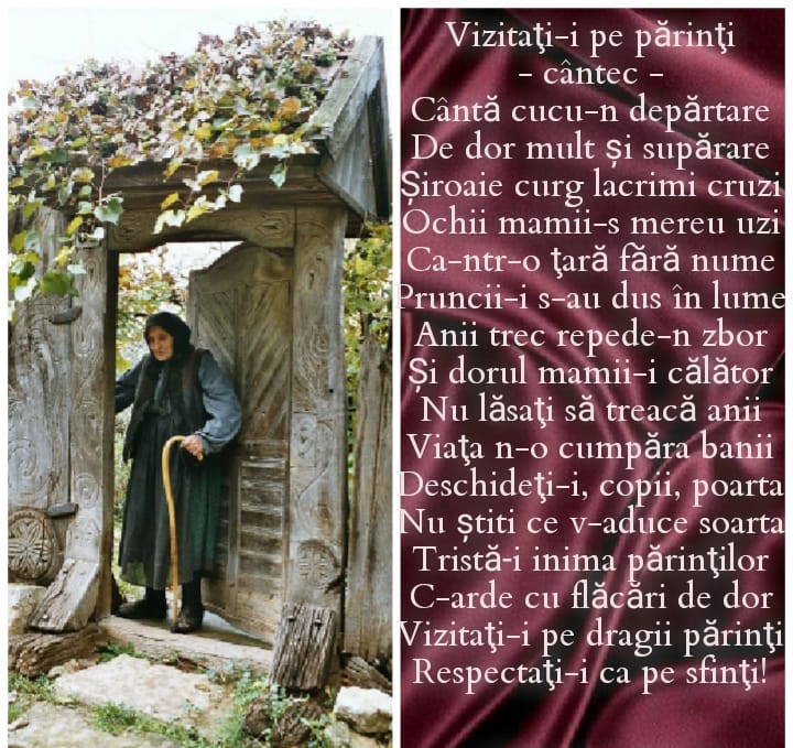 211500755_3761303230638114_1517894503236034769_n