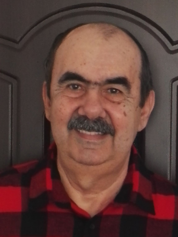 sandu-chiva-photo-e1552799741534