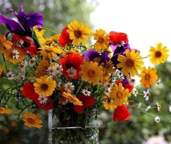 210949827_4531231346909429_7624392328234719209_n