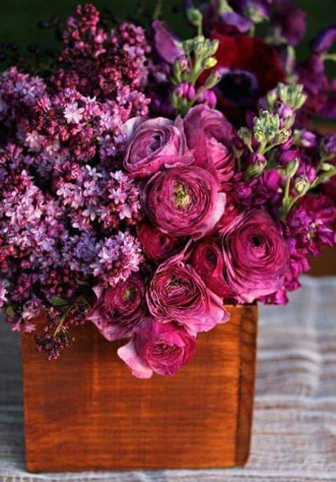 52889842_147233686290033_3384352929812054016_n