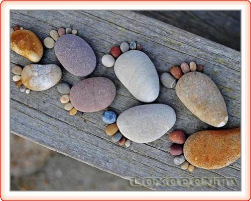 Pe_urmele_pasilor_tai_9510