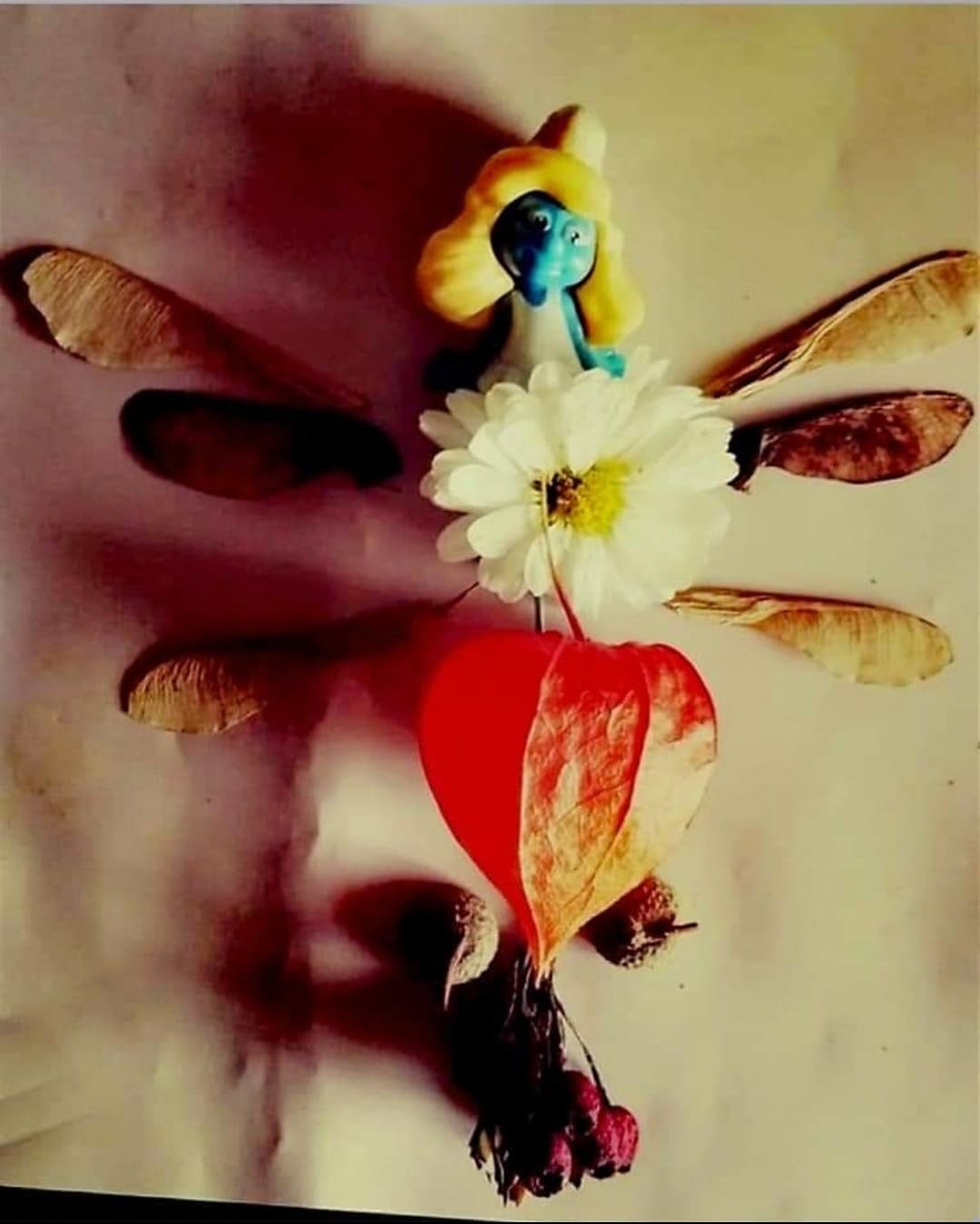 242171350_275249784426357_8297963630032938202_n