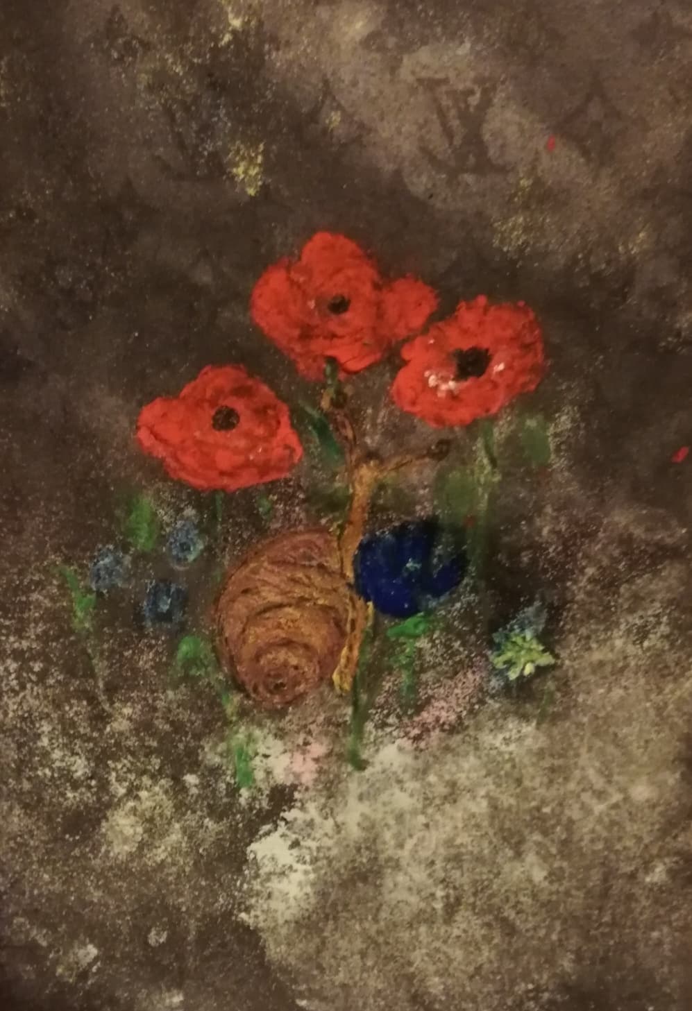 116309622_288986028857580_995576602701874637_n