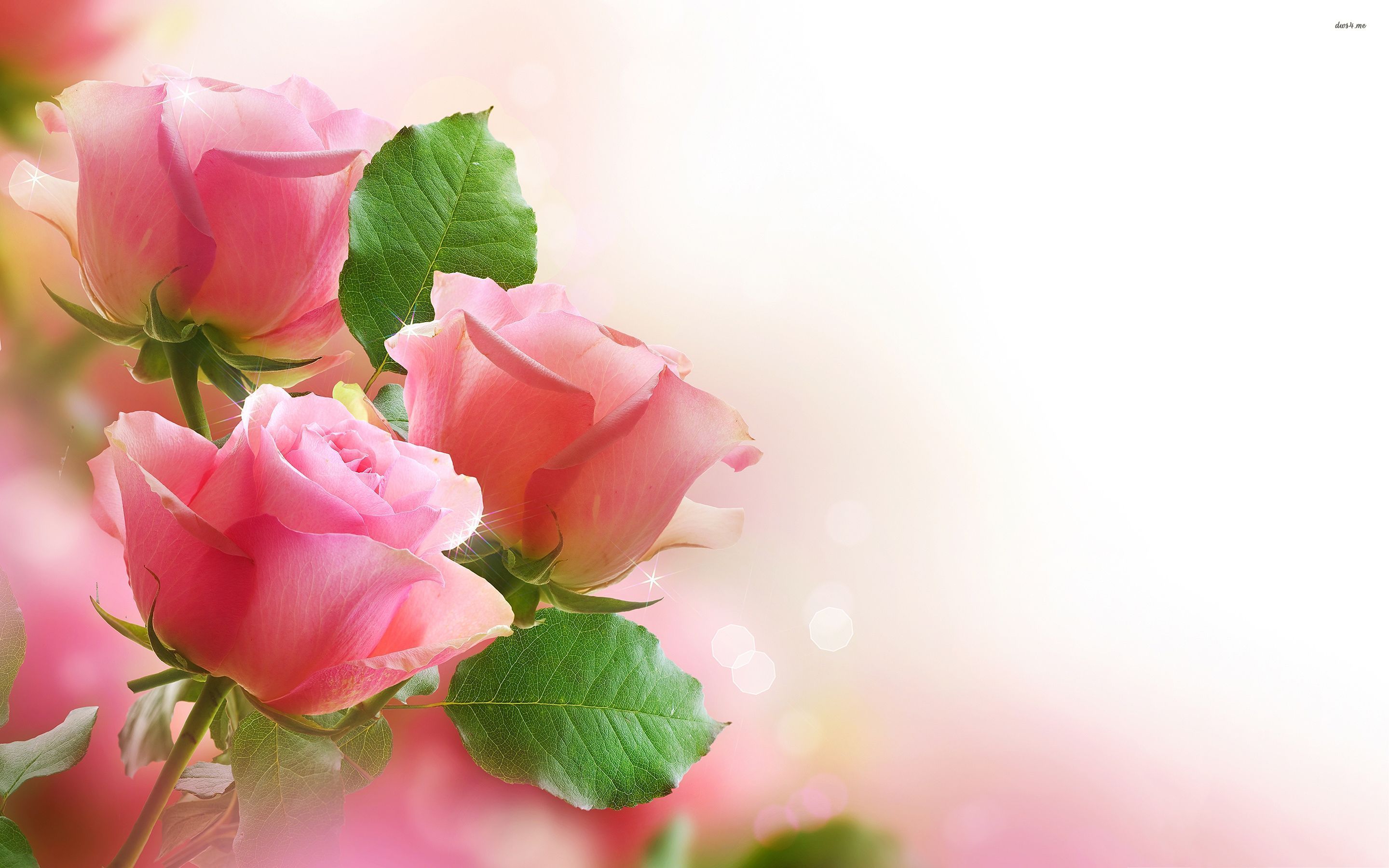 587574210-wallpaper-with-roses