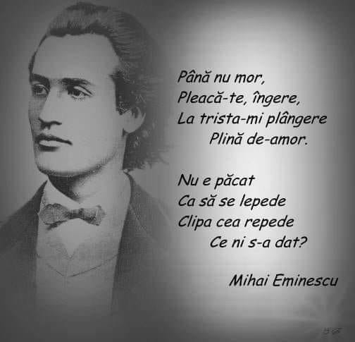 288667897_10159104239611872_3436652406619804943_n