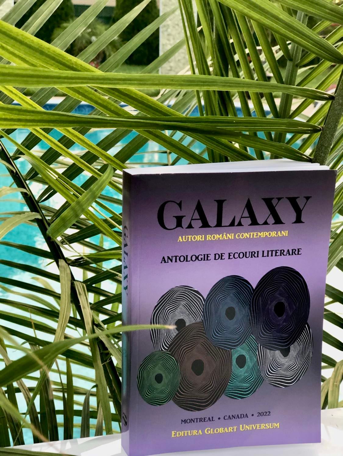 302064586_421909213258249_181367579793594936_n