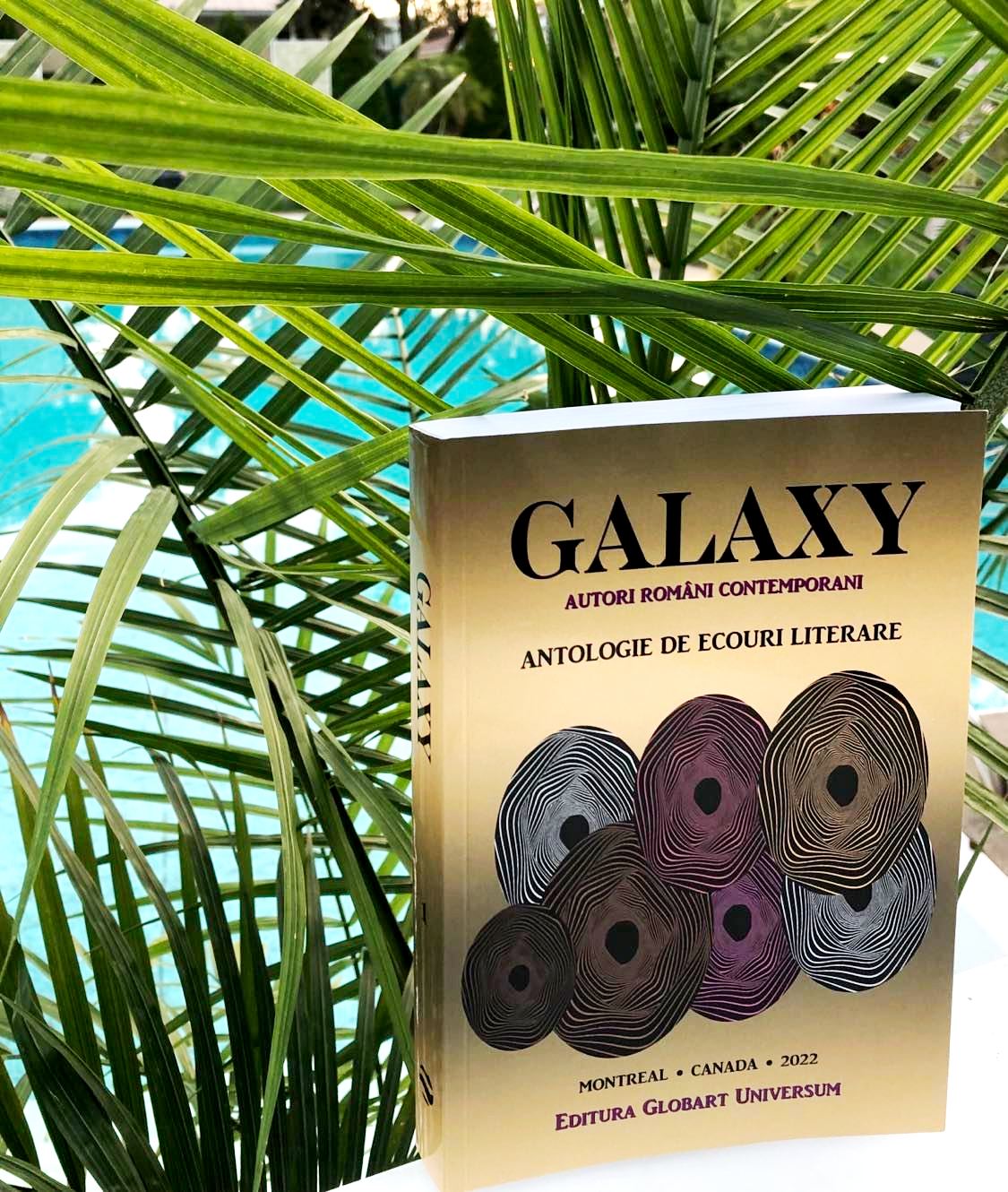 303317064_550183163533903_8224931877212409589_n