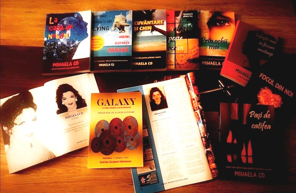 310418024_1092862108033280_8867492642666737691_n