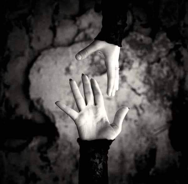 87163722_2712452698862006_1018614067624935424_n