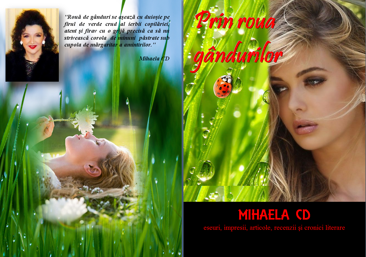 Prin roua gandurilor