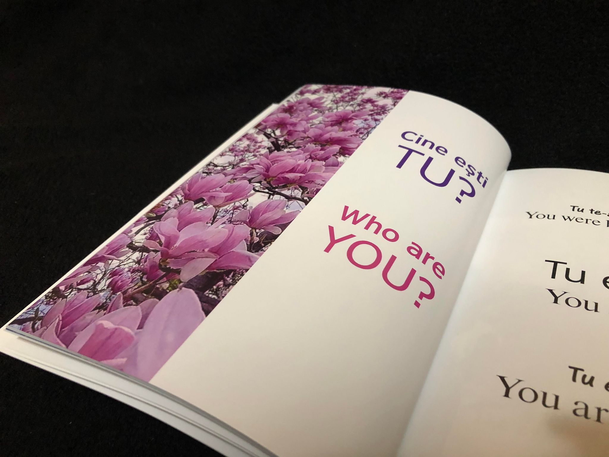 318090896_449373233873048_8166822506476799001_n