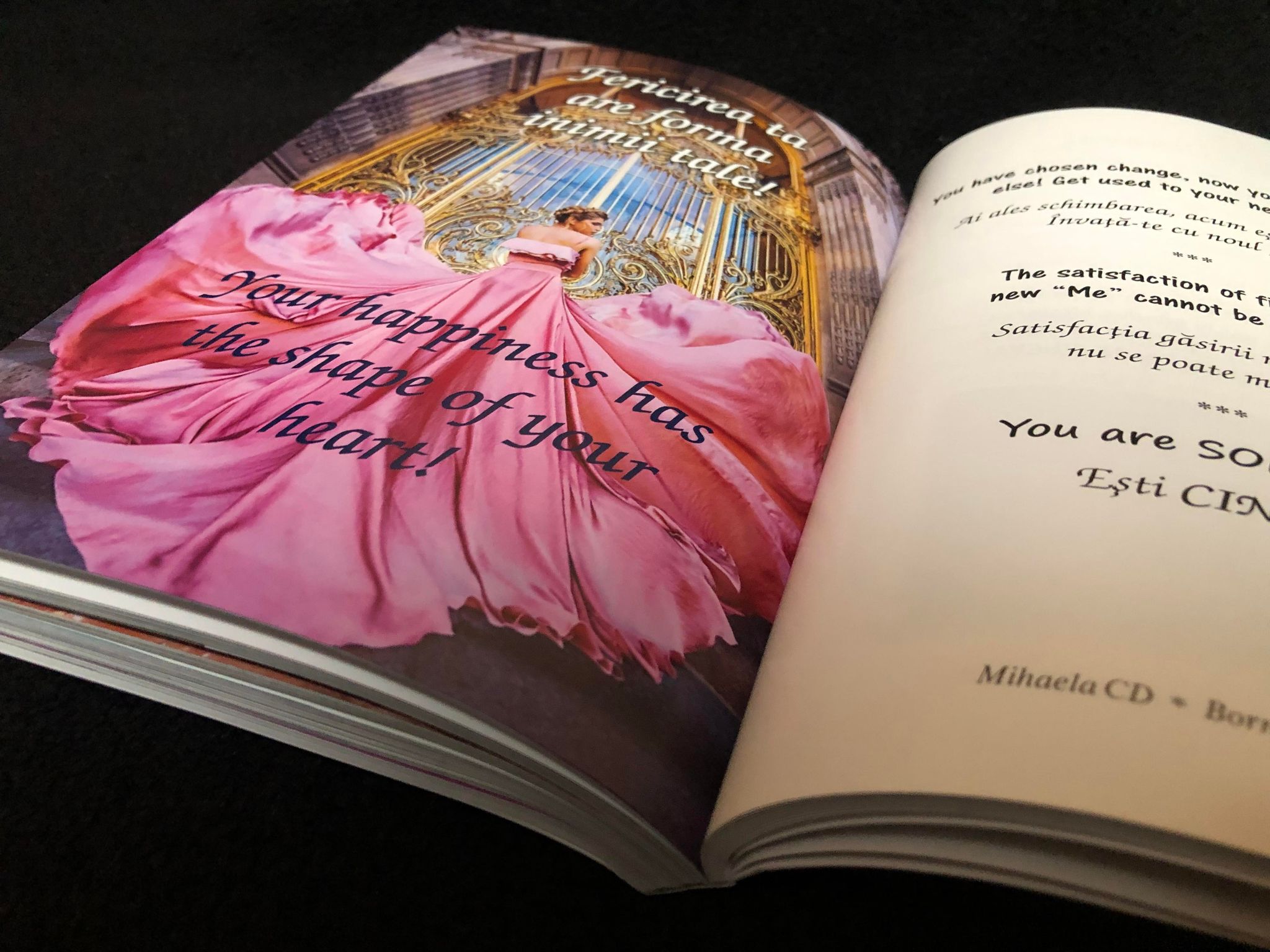 318373147_1346285162782661_403596900429190773_n