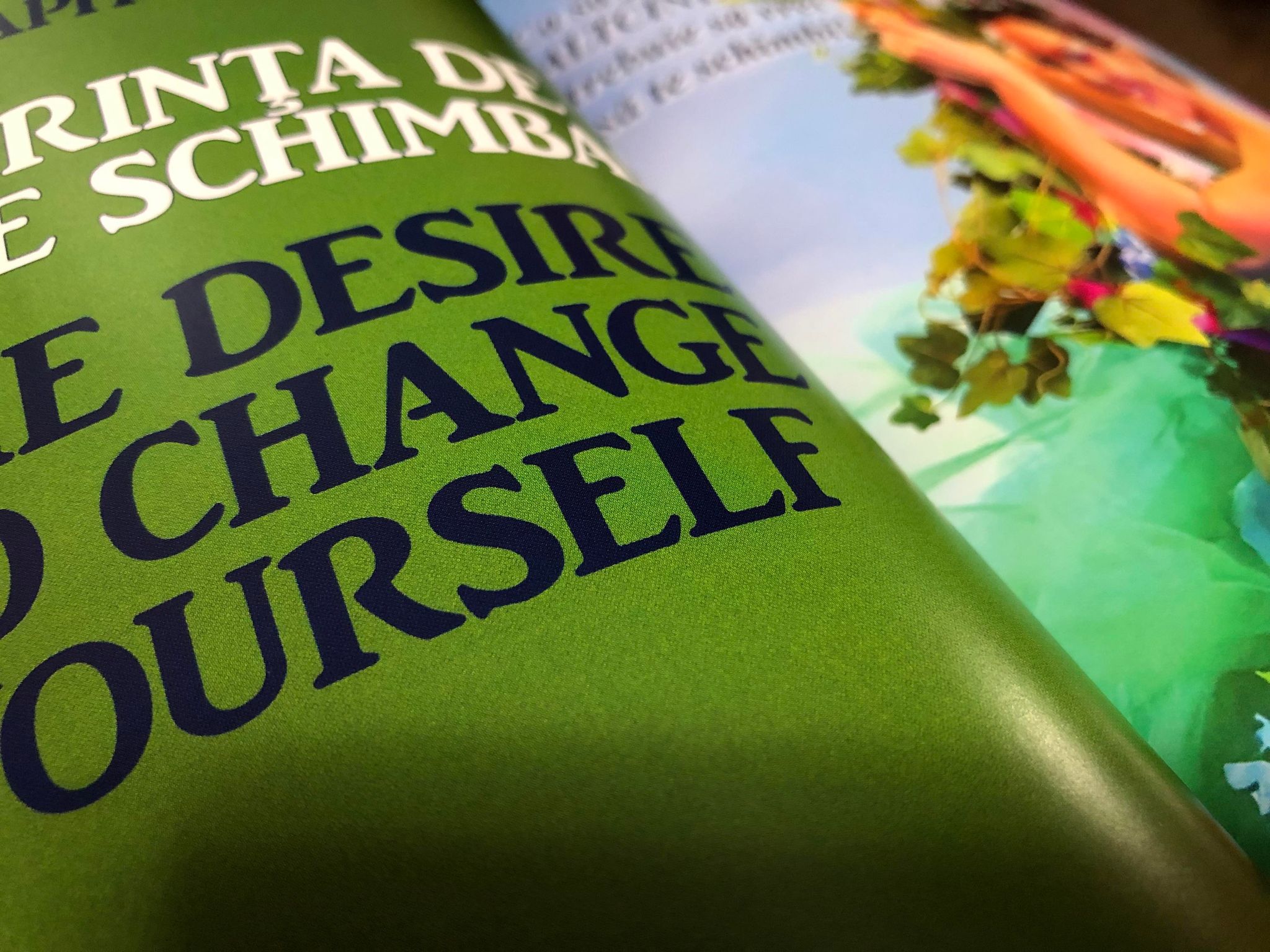 318642931_2369111873263172_8528638861310845913_n