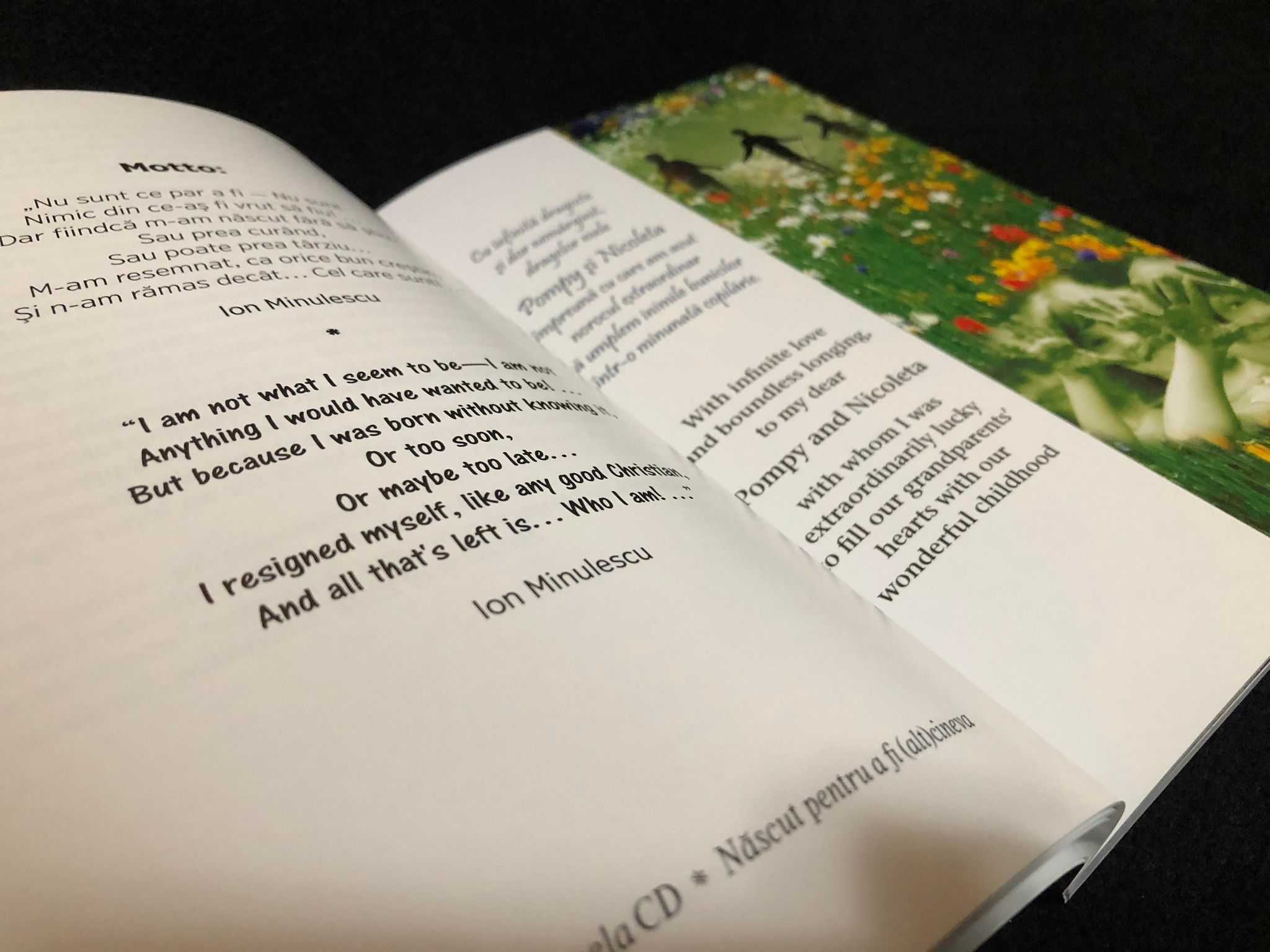 319177847_554173079491625_3355715113293235030_n