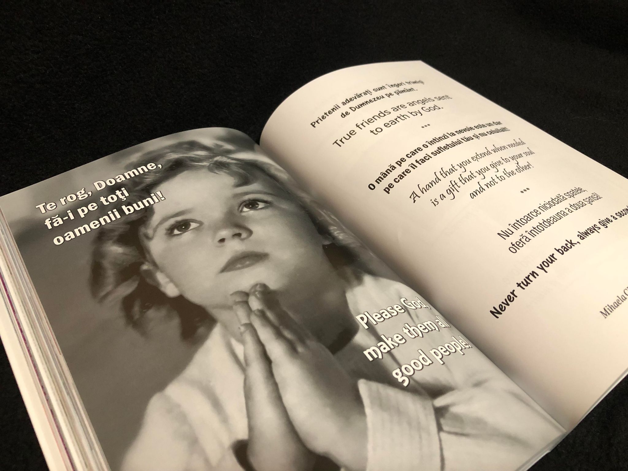 319688311_507581464673868_8315090972893667206_n