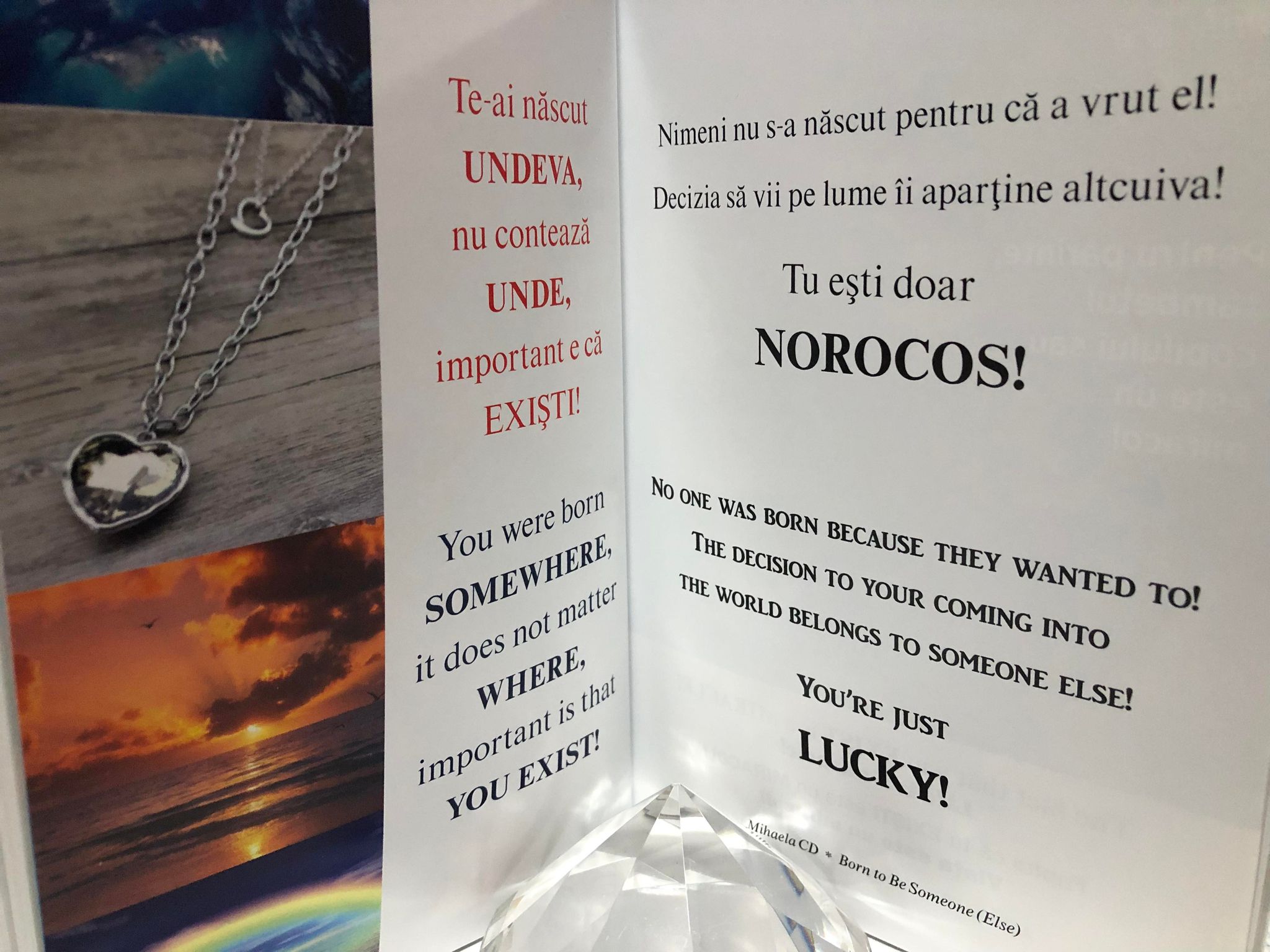 319737081_1222607255278687_1227341938524020512_n