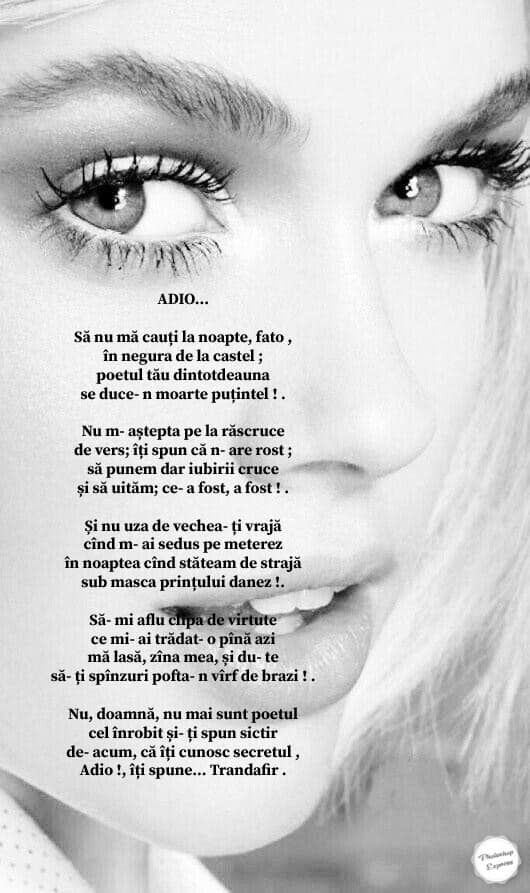 319281627_1310846899458687_2452987021348722218_n