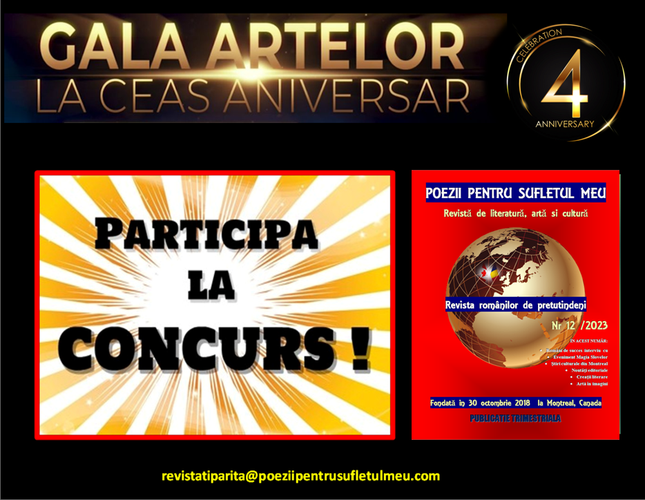 afis concurs revista 12