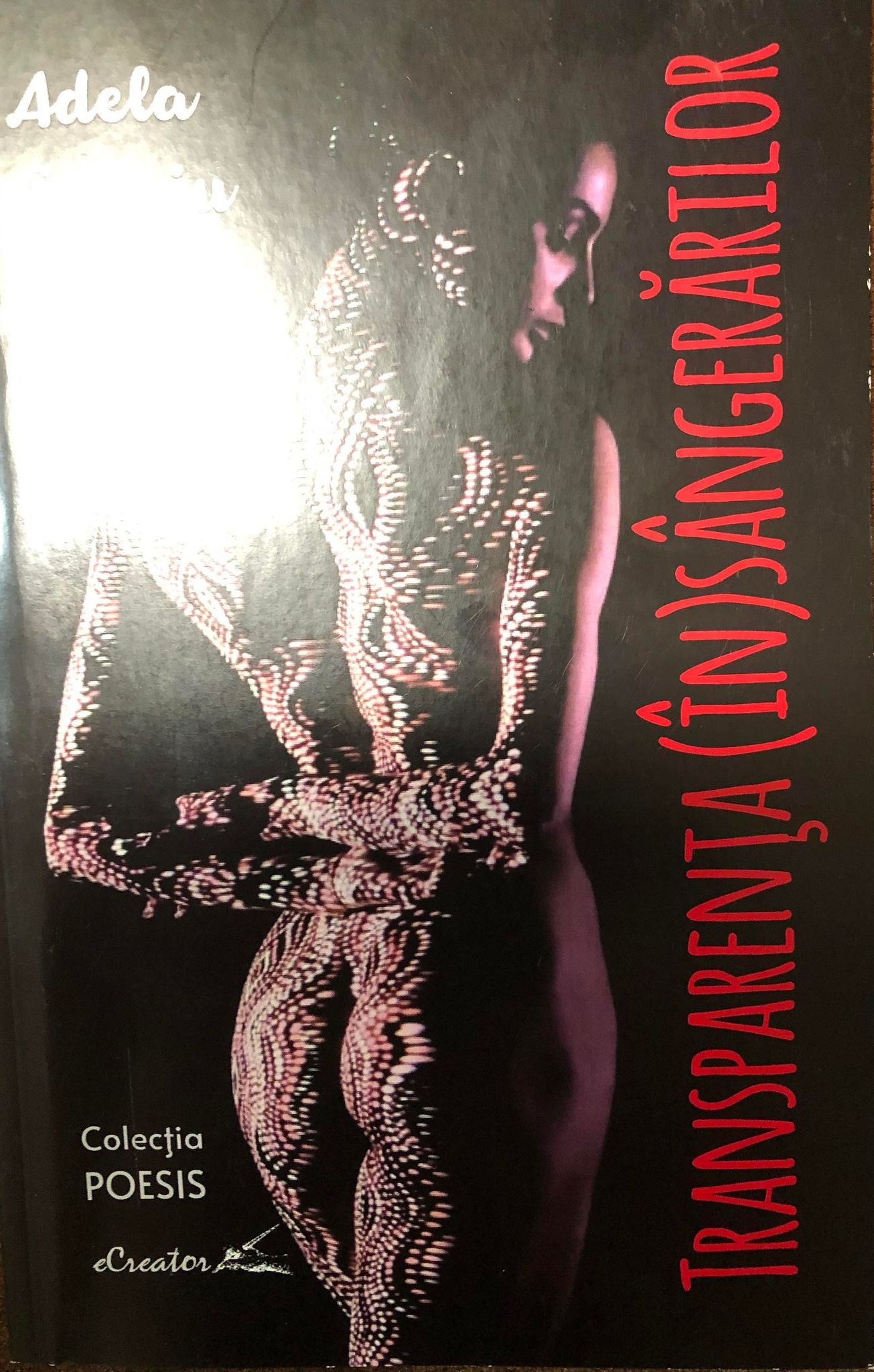 293332569_730215714875762_8063040520476619865_n