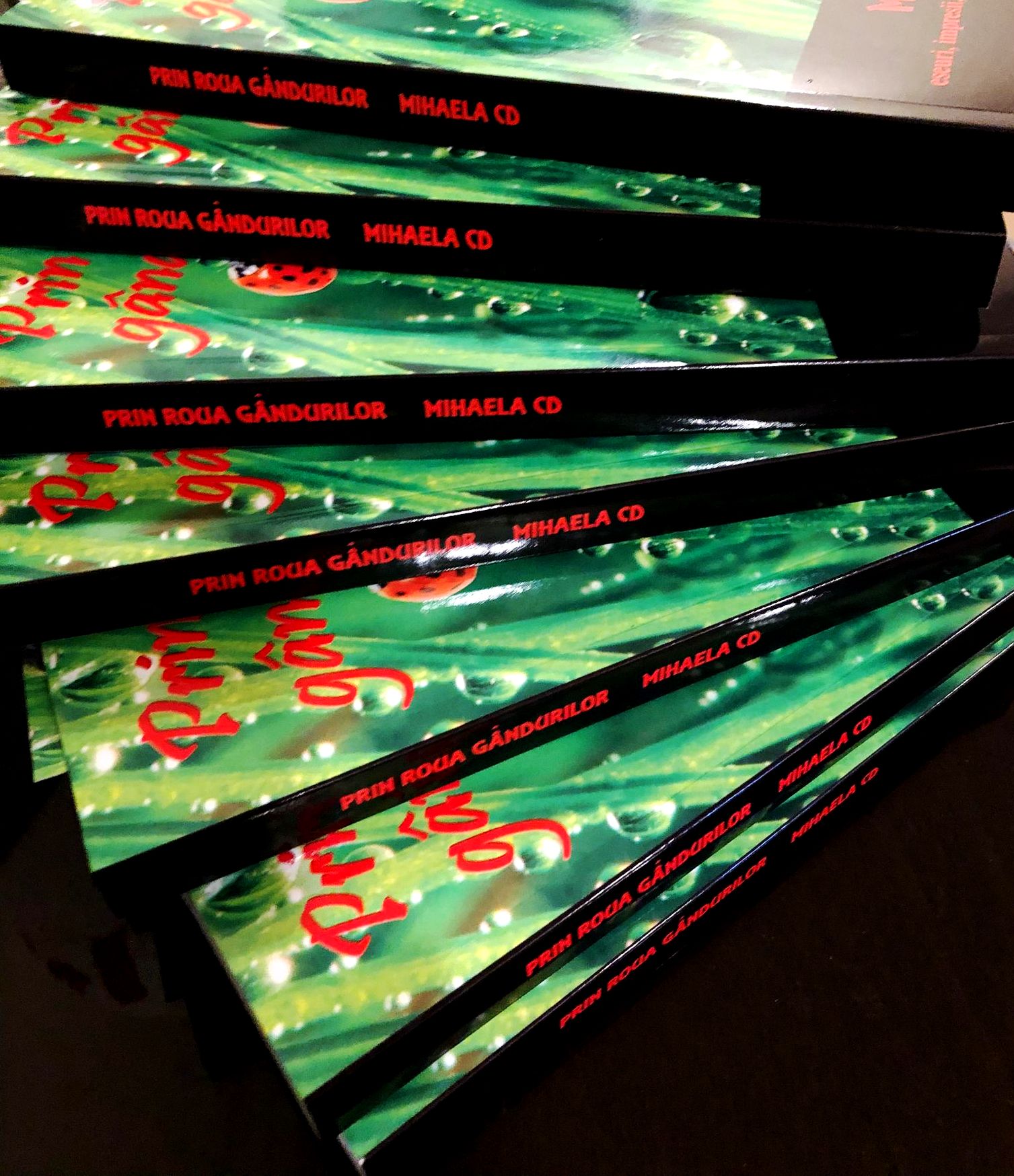 341731124_2985762461568738_6246781589236589673_n