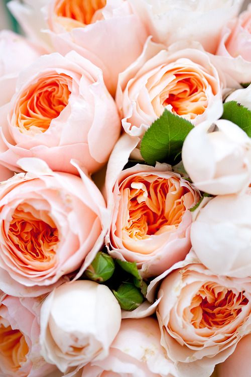 light-pink-peach-peony-bouquet