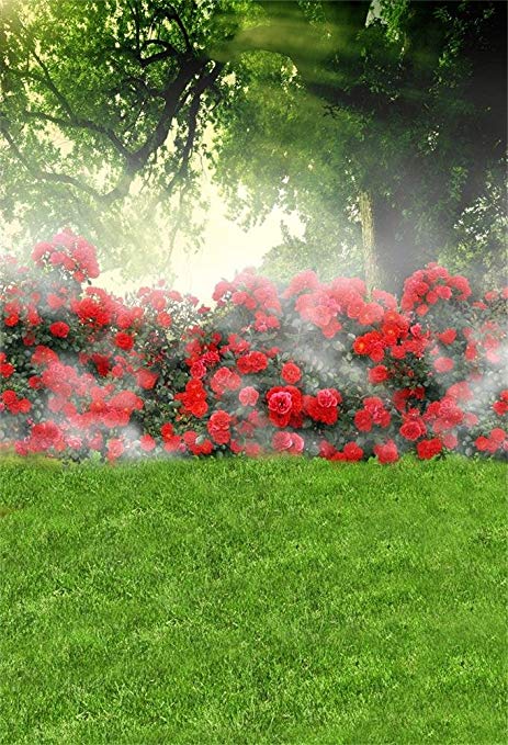 71ziAE3V6DL._AC_SY679_