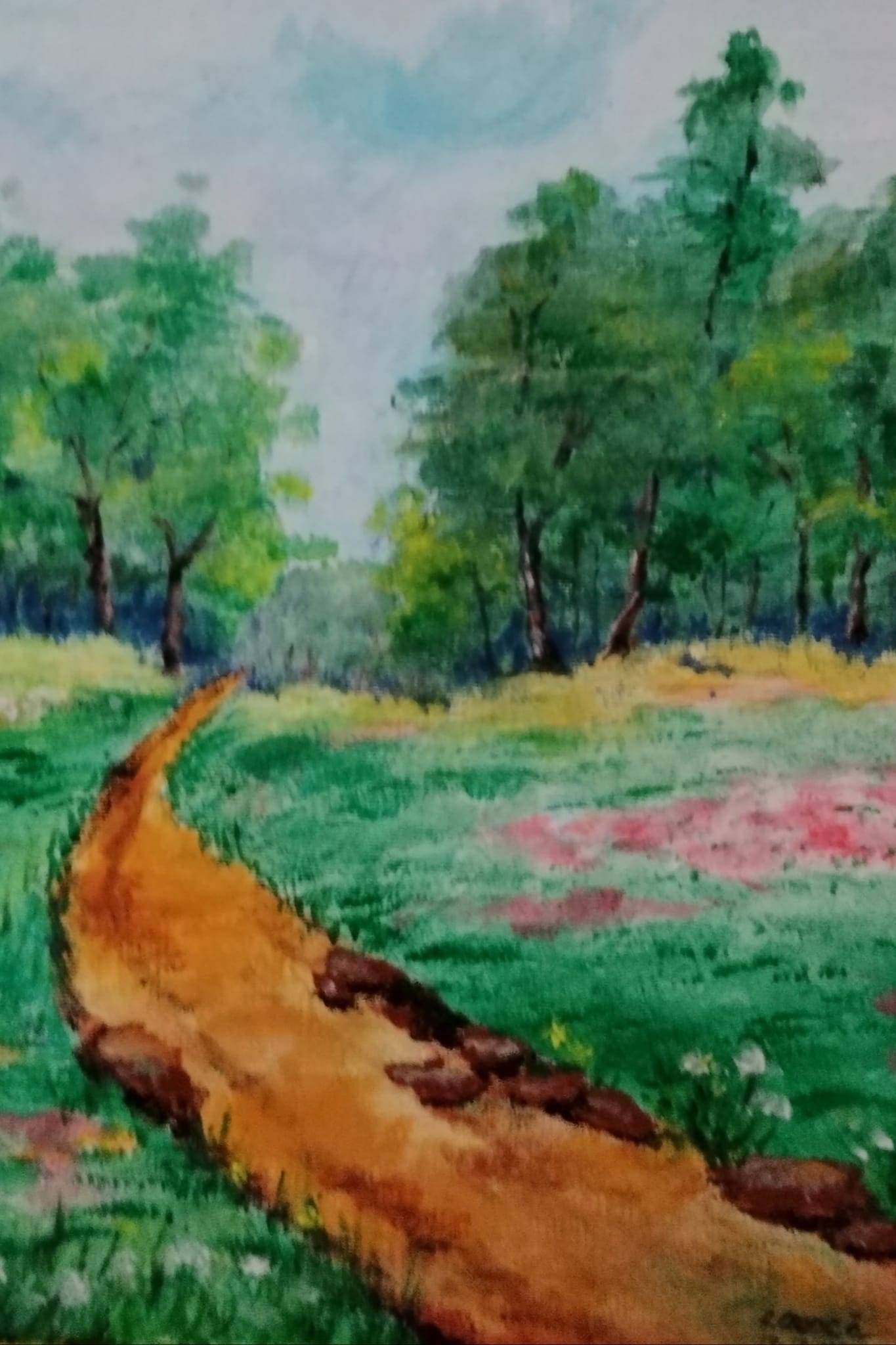 414949695_2611016132397034_7208143197318336715_n