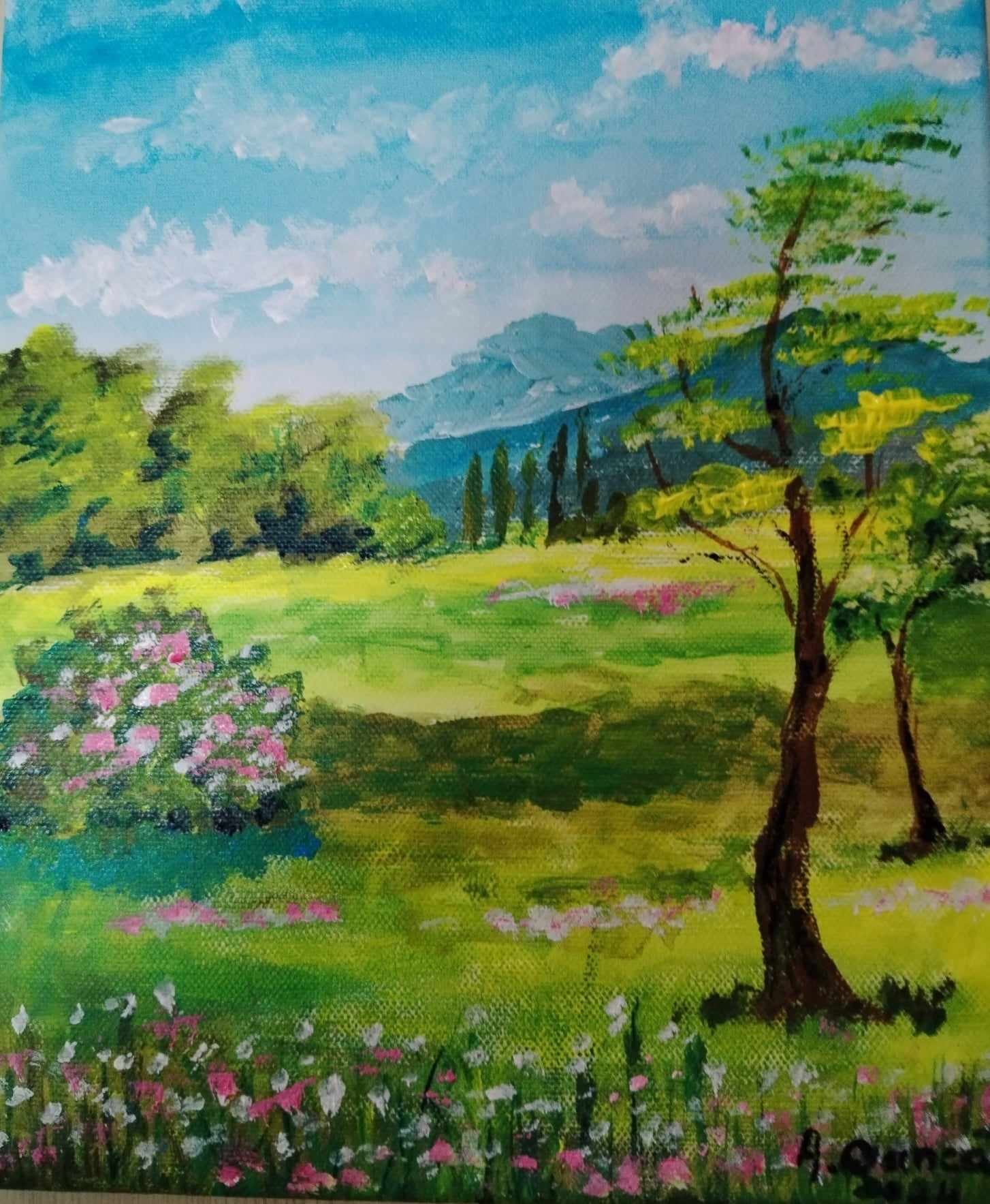 428420826_2645578578940789_2869464882325019218_n