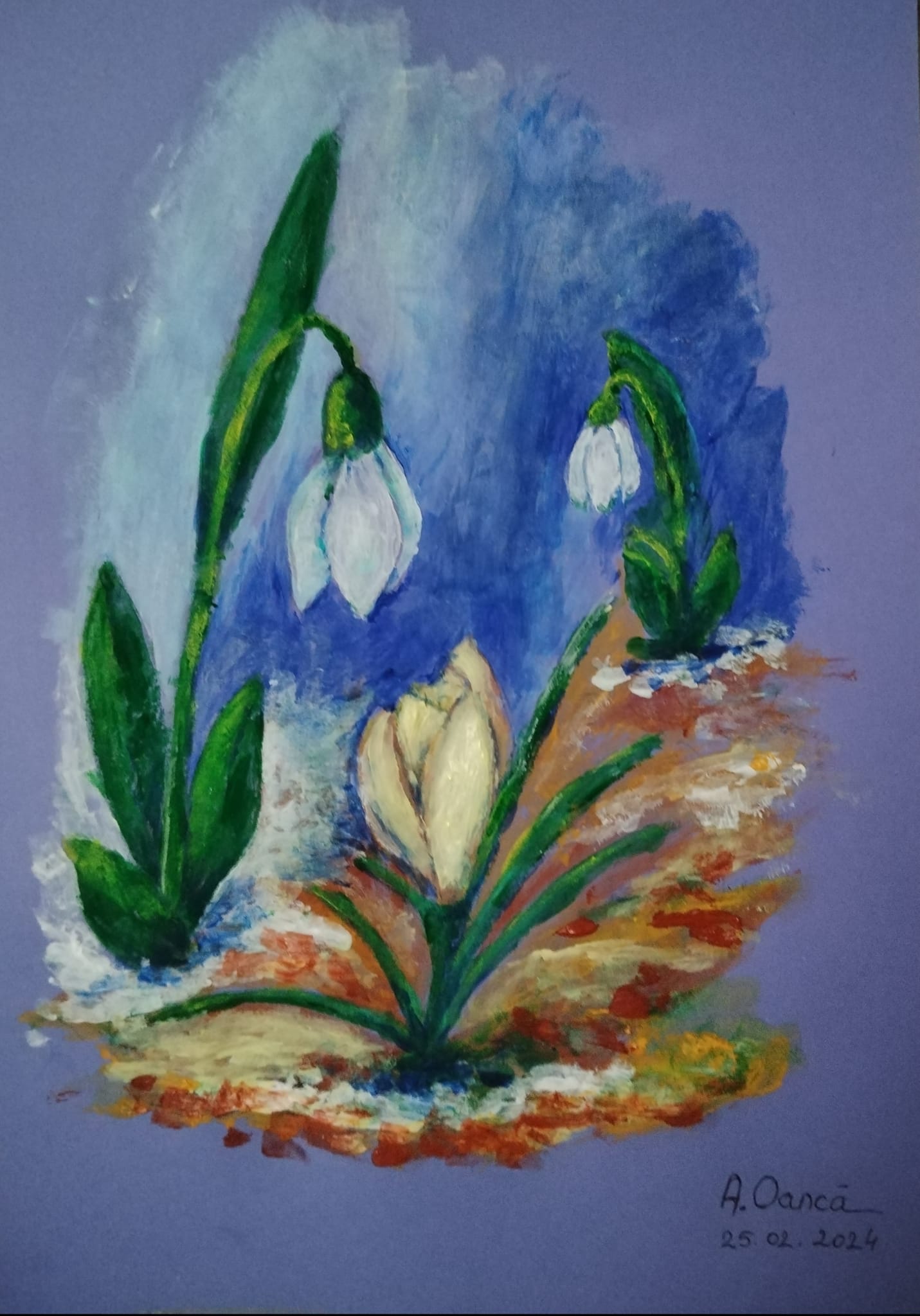 429564124_2659287490903231_451086202674565173_n