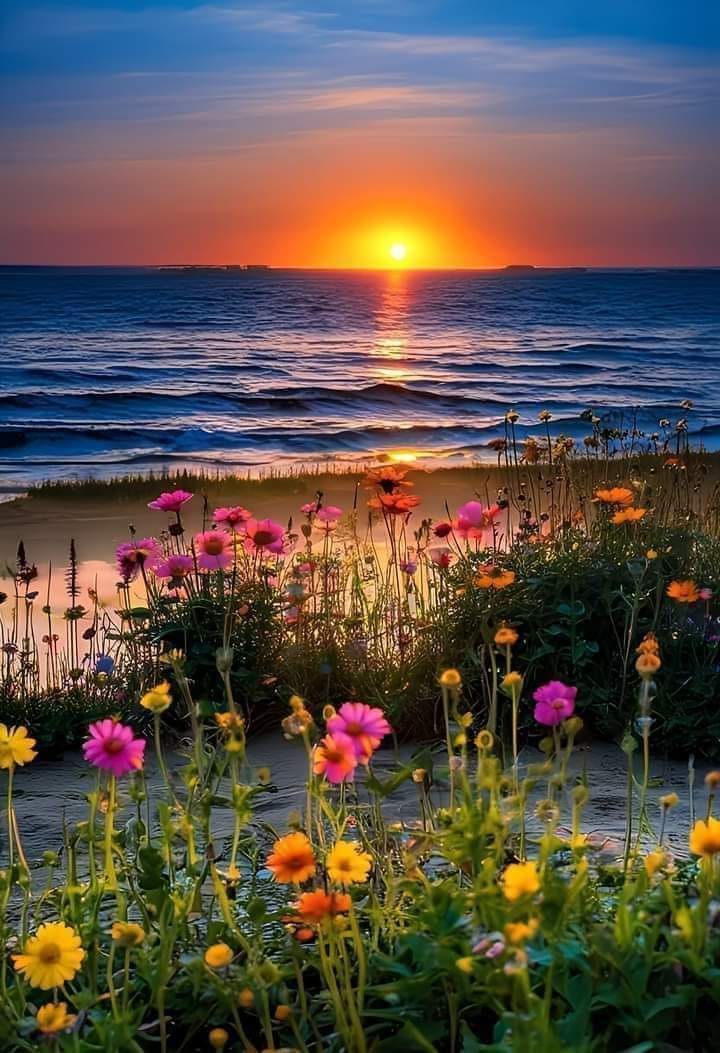 448986031_10160470758521872_5060683605216151992_n