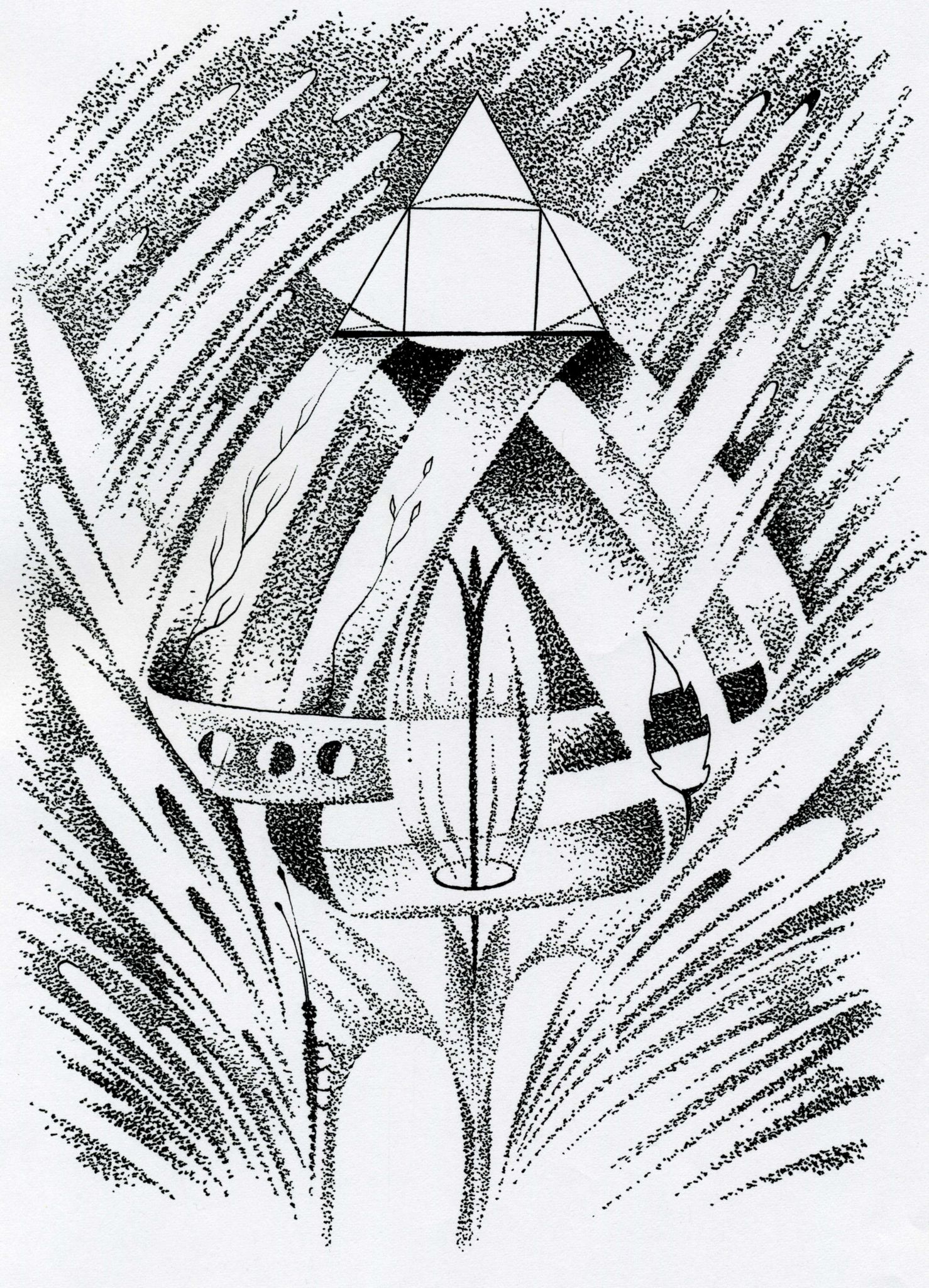 imagine 13_laleaua furnica copacul_ ochiul de veghe